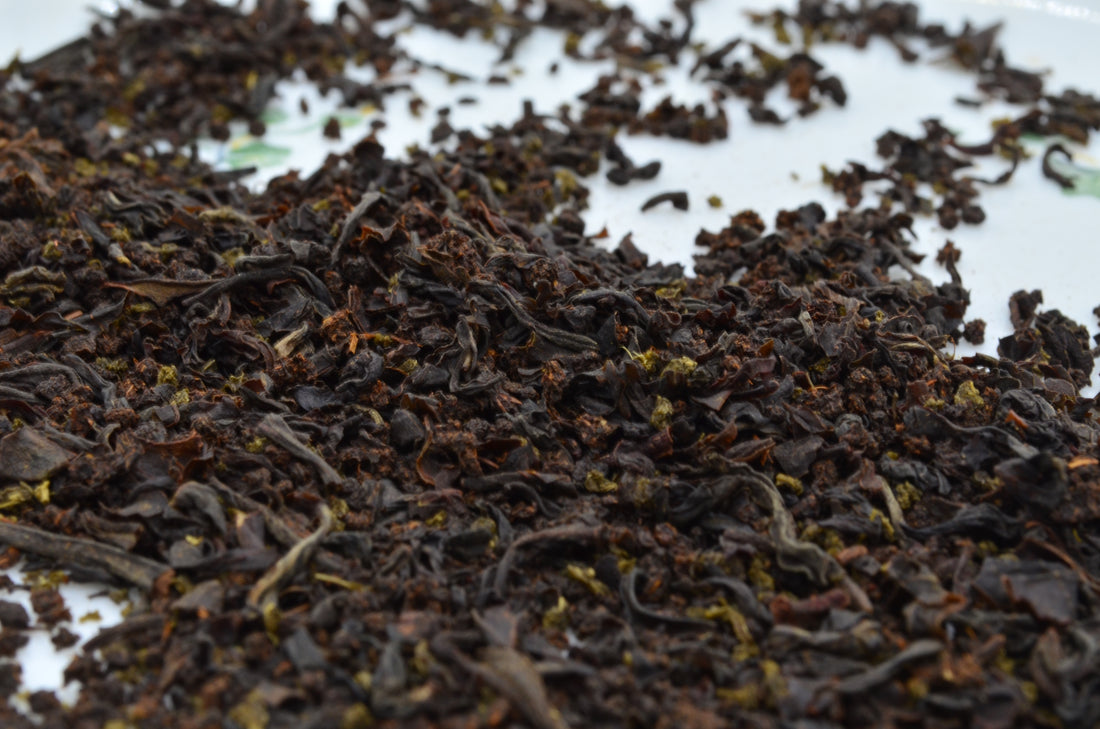 What is Tea? - A Quick Beginner's Guide of How Tea is Produced